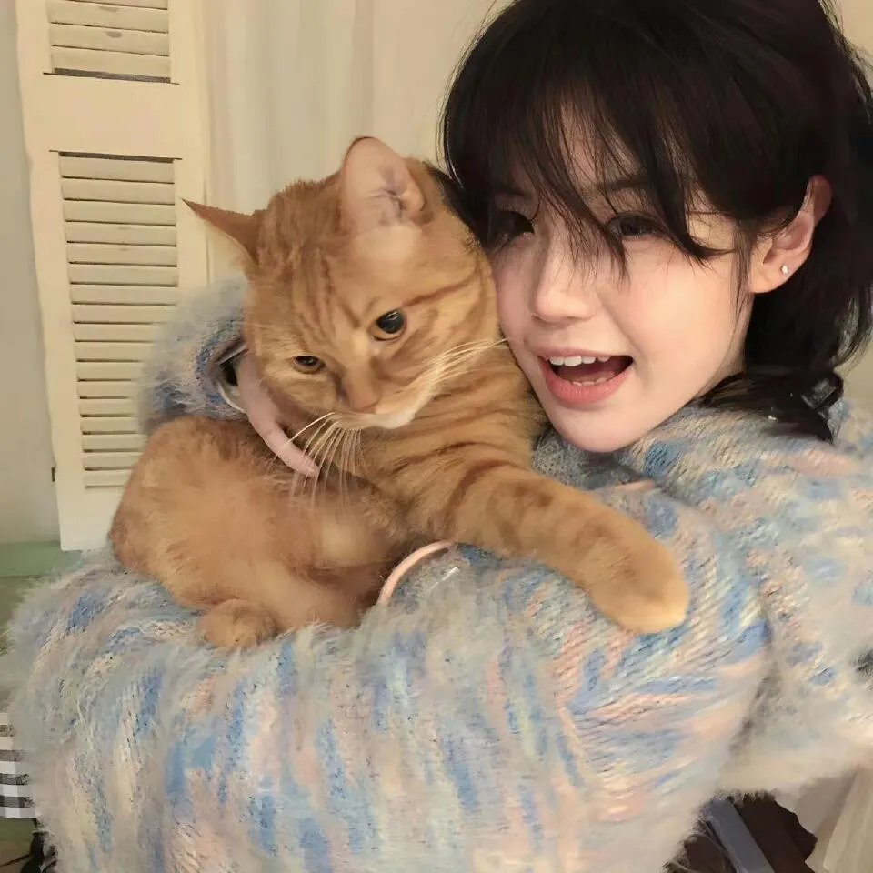 巅峰拍档第十四季