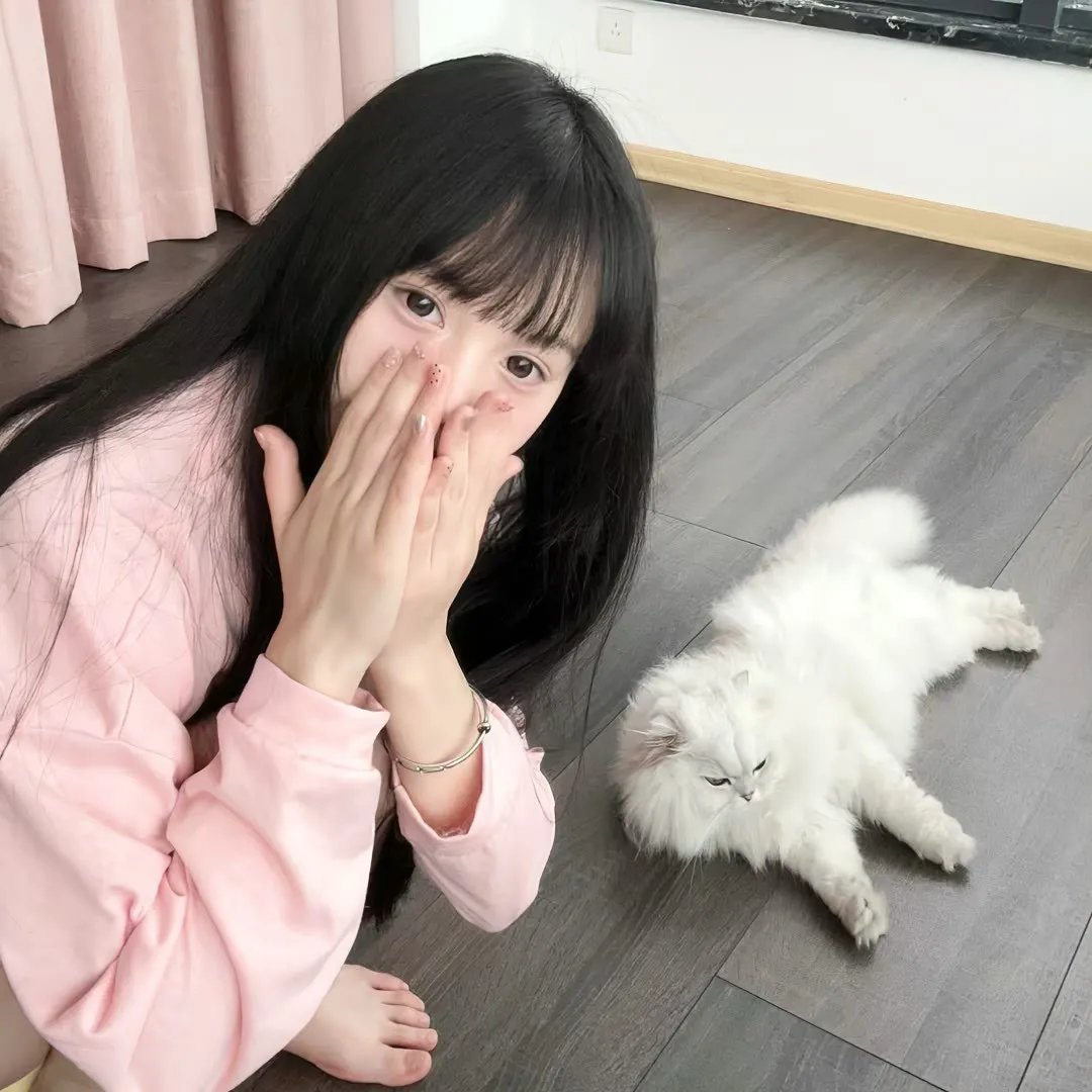 雏菊